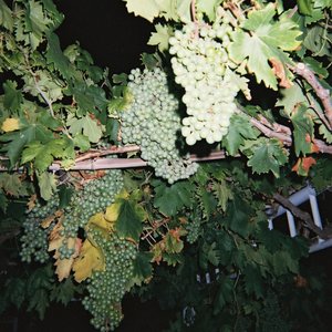 刘涛黄色惊艳视频
